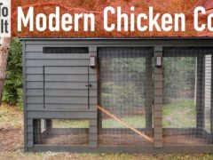 Modern DIY Backyard Chicken Coop Ideas