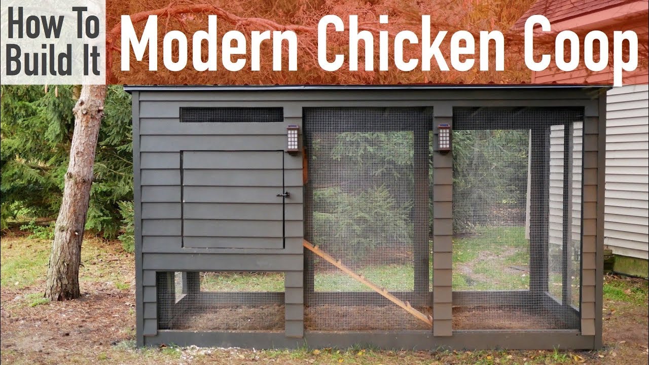 Modern DIY Backyard Chicken Coop Ideas