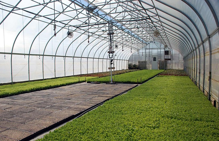 greenhouse construction