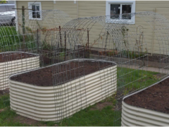 raised garden bed designs