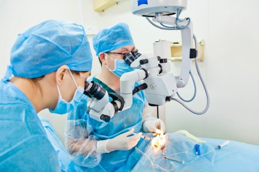 Cataract Surgeons