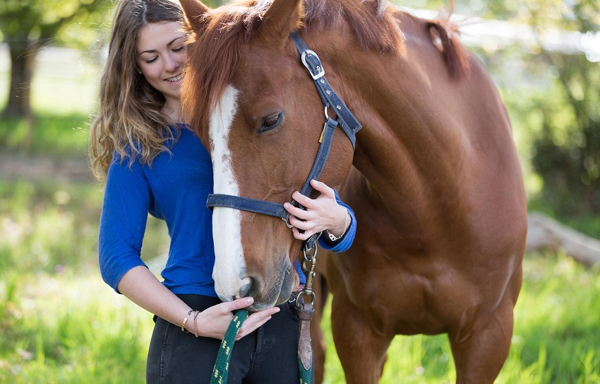 take care of your horse