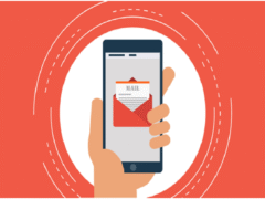 email marketing expert